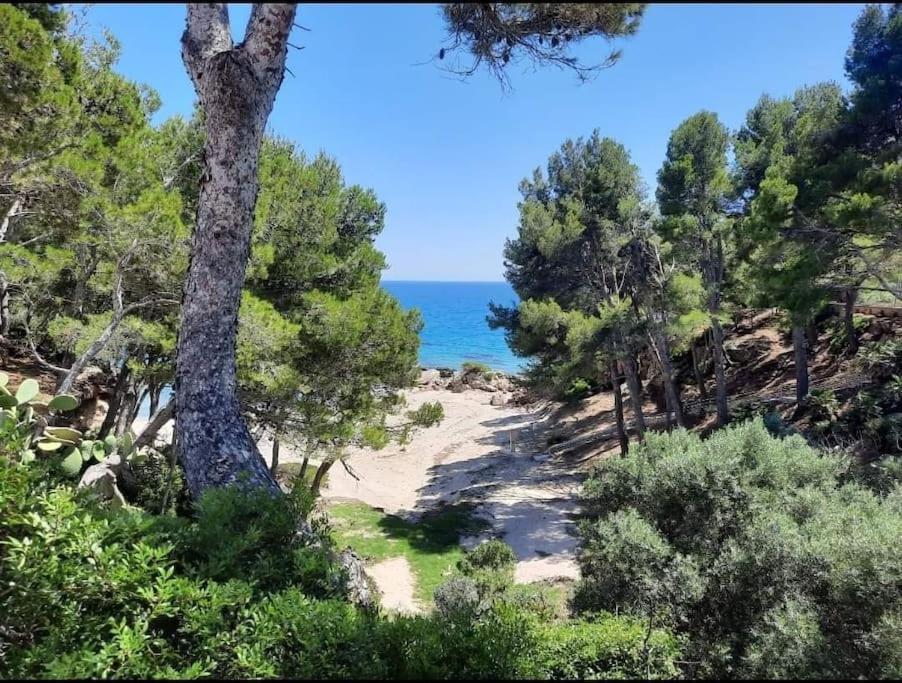 Villa Climatisee Bord De Mer Avec Piscine Privee Miami Playa Екстериор снимка